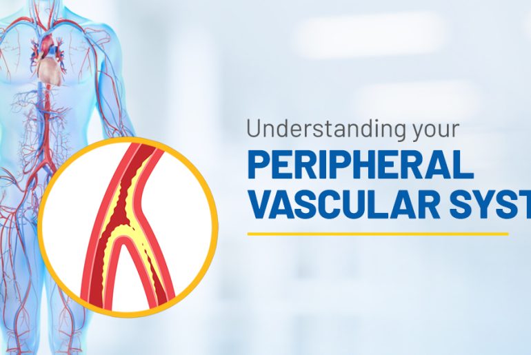 What is Peripheral vascular system, and Peripheral vascular disease