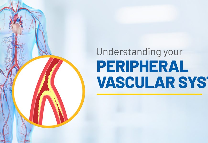 Peripheral Vascular System