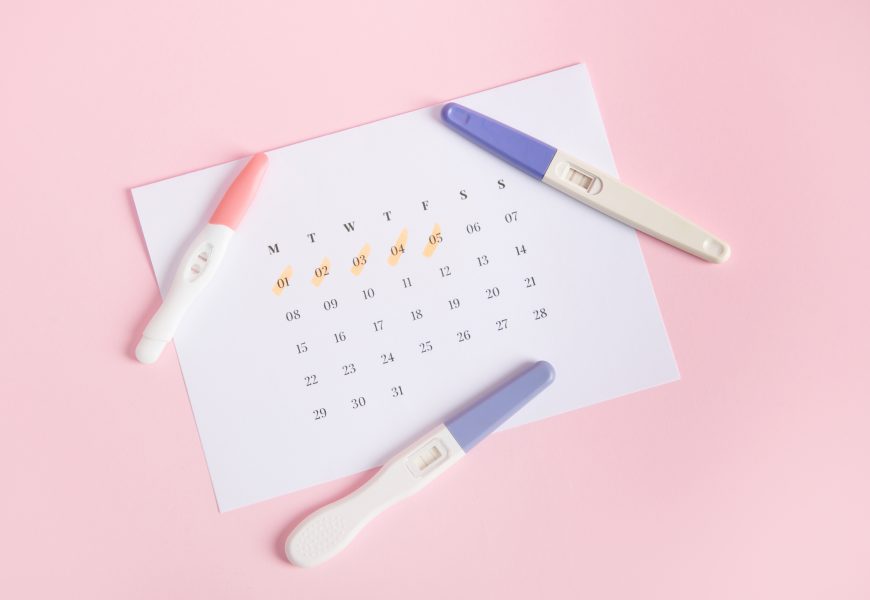 Everything You Need to Know About At-Home Pregnancy and Ovulation Testing